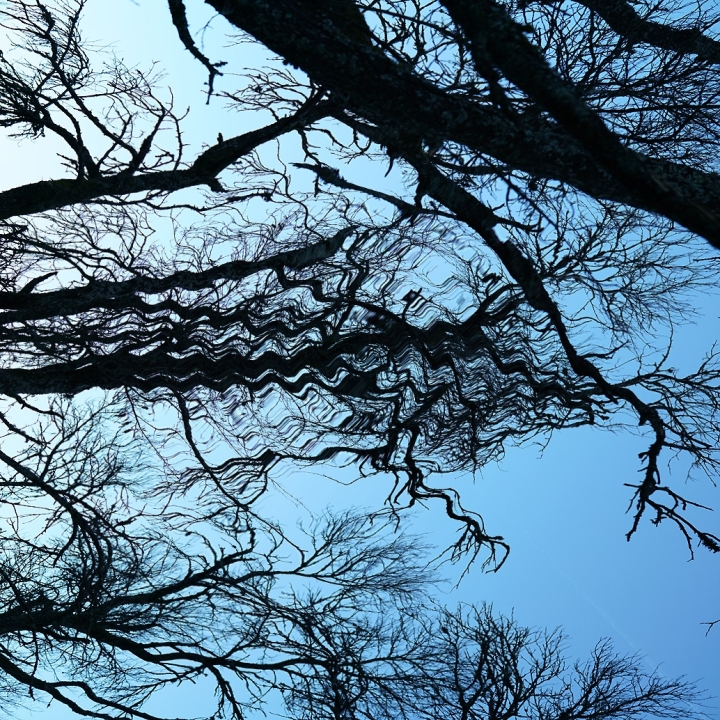 innererordnungsdienstfluch