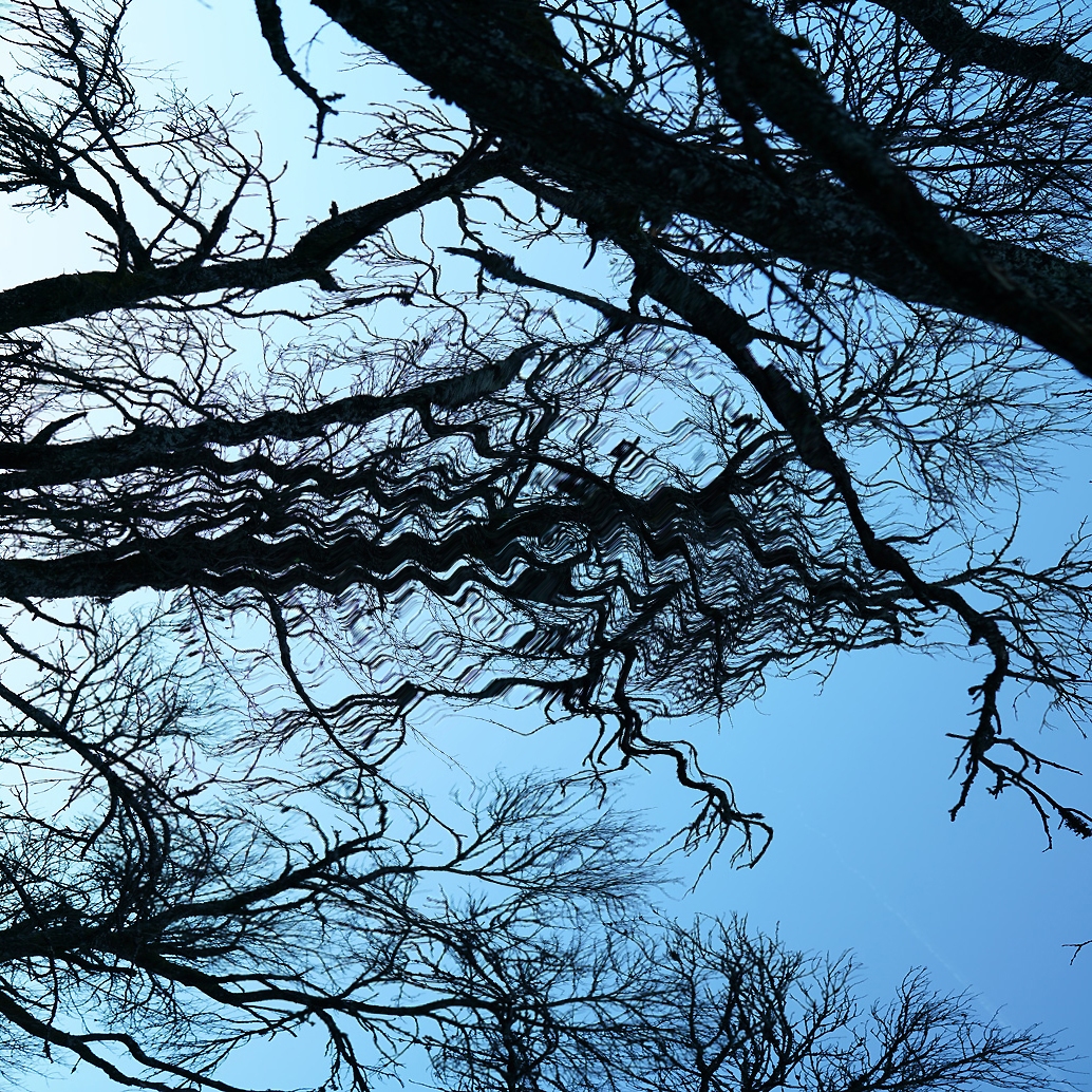 innererordnungsdienstfluch