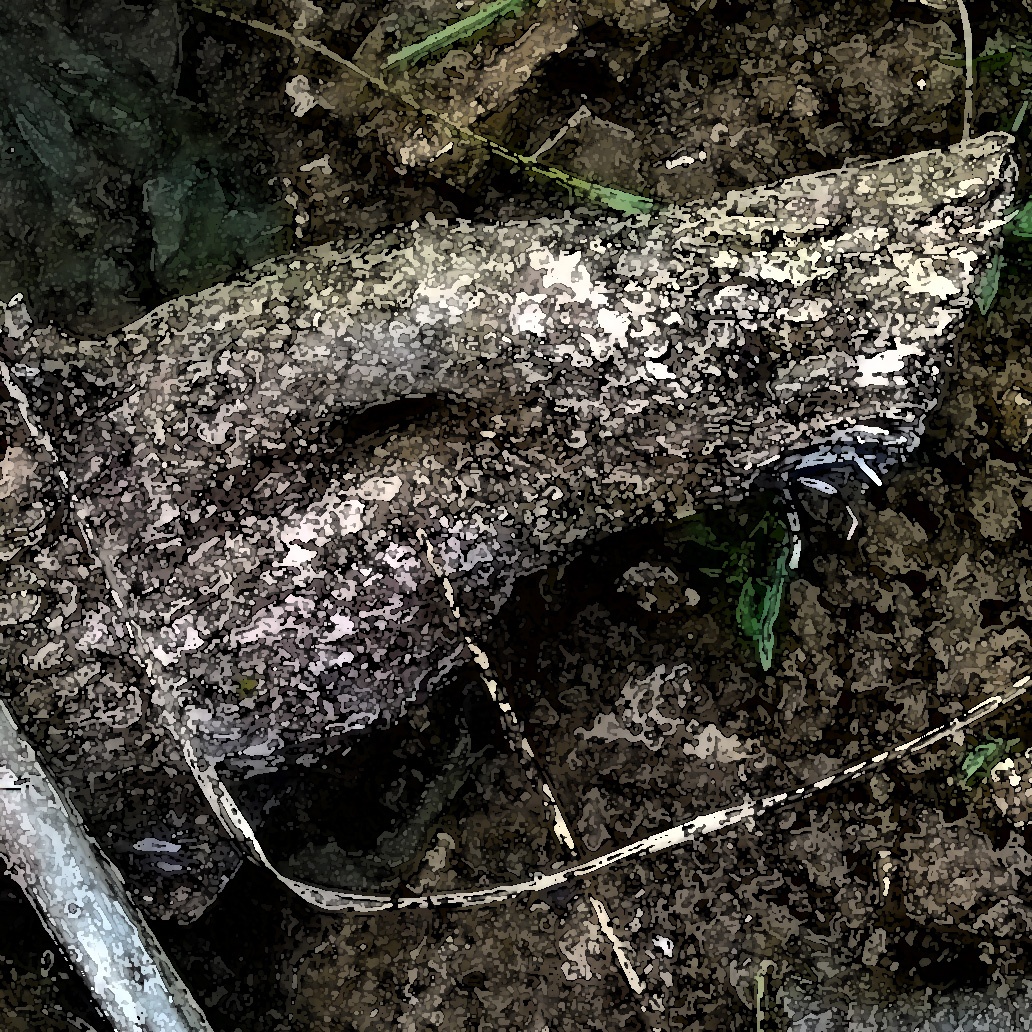 innererordnungsdienstfluch